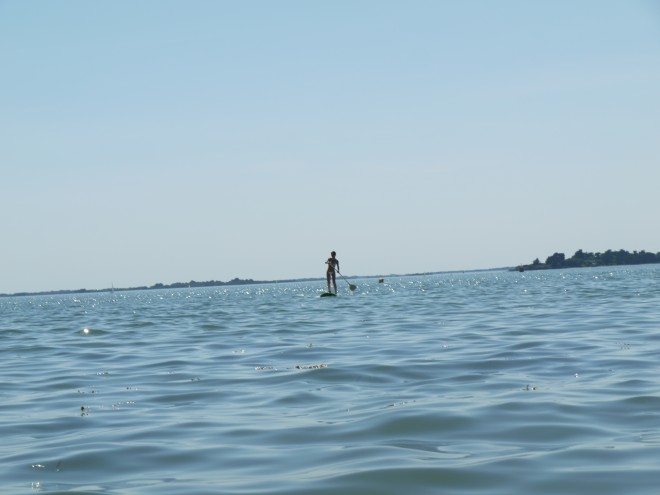 P1010523.jpg
