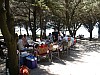 P1010505.jpg