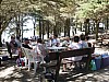 P1010510.jpg