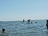P1010516.jpg