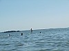 P1010521.jpg