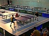 P1170659.JPG
