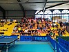 t4-0005.jpg